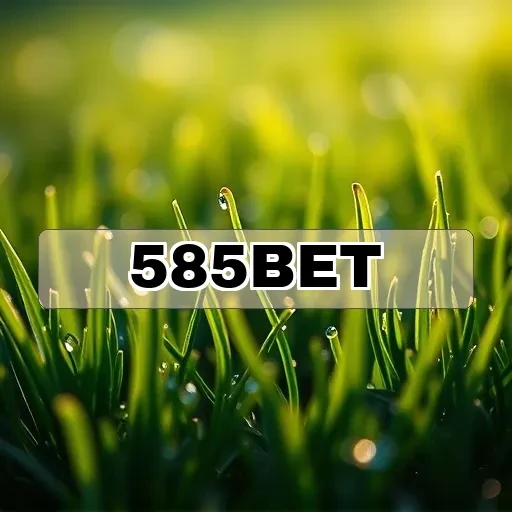 585bet.com: Jackpots que Podem Transformar Seus Sonhos em Realidade